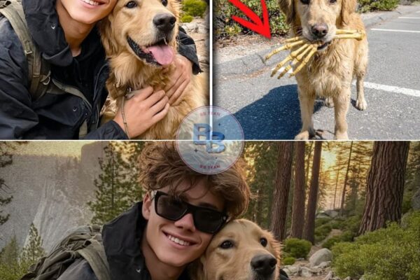 Blind Teen Vanished In Yosemite — 2 Years Later Dog Returns Carrying THIS In Its Mouth…