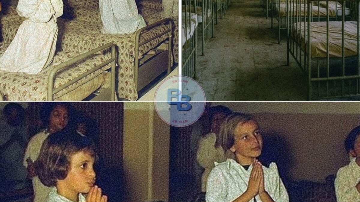 Entire Orphanage Vanished in 1982 — 31 Years Later, a Hidden Room Shocked Investigators…