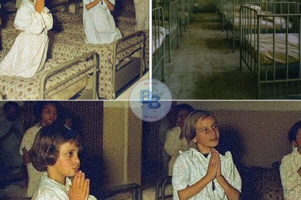 Entire Orphanage Vanished in 1982 — 31 Years Later, a Hidden Room Shocked Investigators…