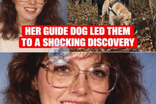 Blind Woman Vanished in 1993 — 28 Years Later, Her Guide Dog Led Them to the Truth
