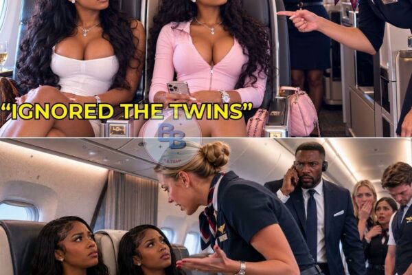 Flight Attendant Humiliated Black Twins In First Class Then Faced A Shocking Call