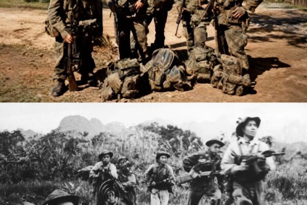 Why Viet Cong Strongholds Fell Silent When New Zealand SAS Joined the Australians