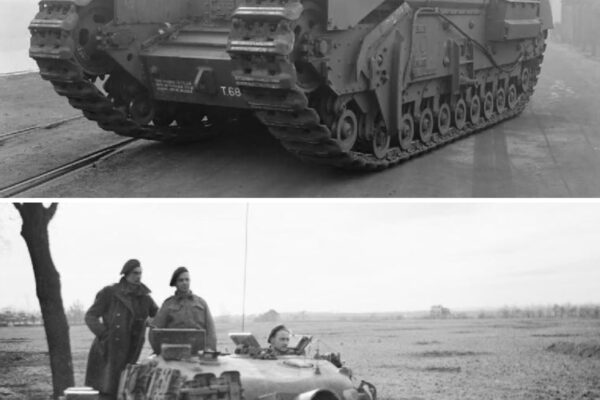 AVRE ‘Flying Dustbin’ Tanks Deleted MG-42 Nests In One Shot