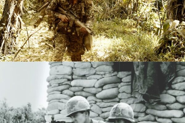 When New Zealand SAS Smelled The Enemy — And The Navy SEALs Didn’t Believe Them