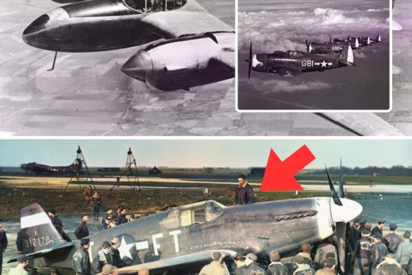 A British Test Pilot Said the P-51 Was Useless — Until He Suggested One Radical Engine Swap