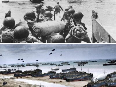 German Officer Watched 7,000 Allied Ships on D-Day – Knew The Invasion Was Unstoppable
