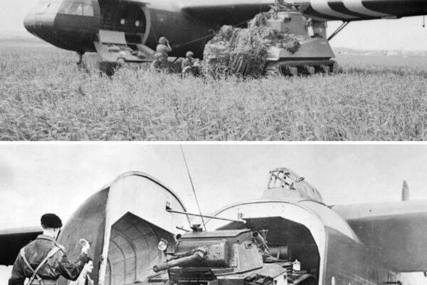 Germany Pissed by British Tetrarch Light Tank—Glider Tank