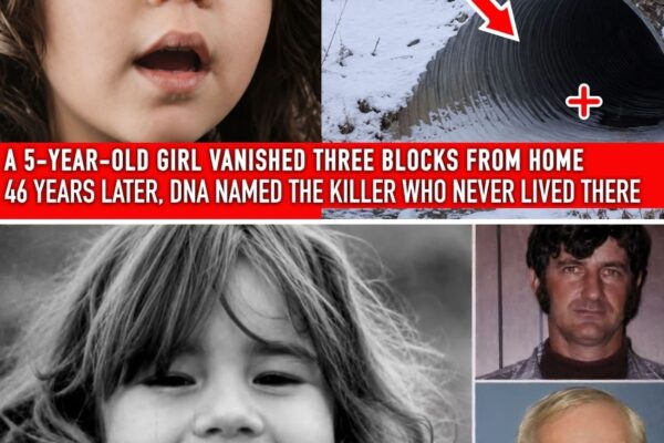 Montana 1974 Cold Case Solved — The Sketch Sent Them After The Wrong Man