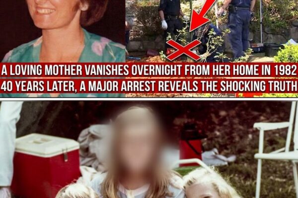 Sydney 1982 Cold Case Solved – Arrest Shocks Community