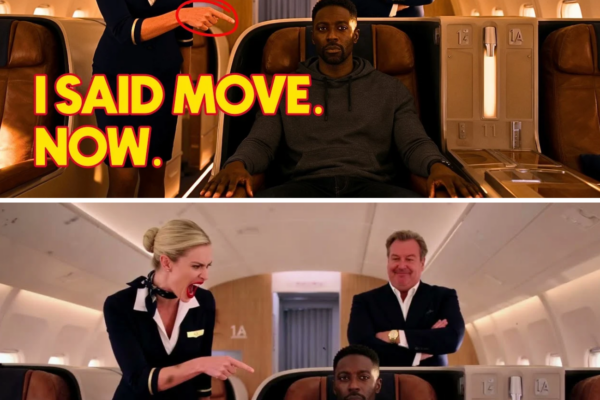 Flight Attendant Told Black CEO to Move Seats — One Call Grounded the Entire Airline 