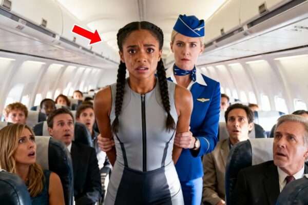 Security Drags Black CEO Off the Plane — Minutes Later, She Withdraws $5B in Funding… 