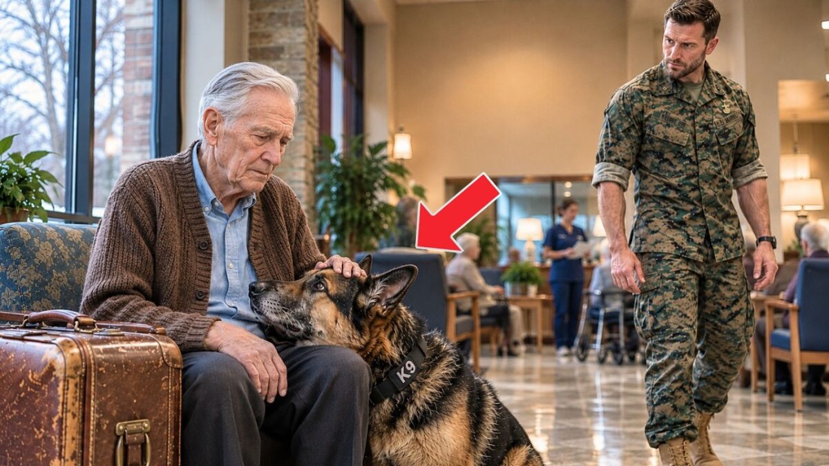 “My Son Won’t Let Me Go Home,” an Old Man Said—Until a Navy SEAL & His K9 Stopped Cold