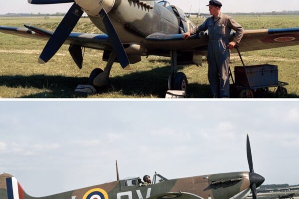 How One Engineer’s “Stupid” Twin-Propeller Design Turned the Spitfire Into a 470 MPH Monster 
