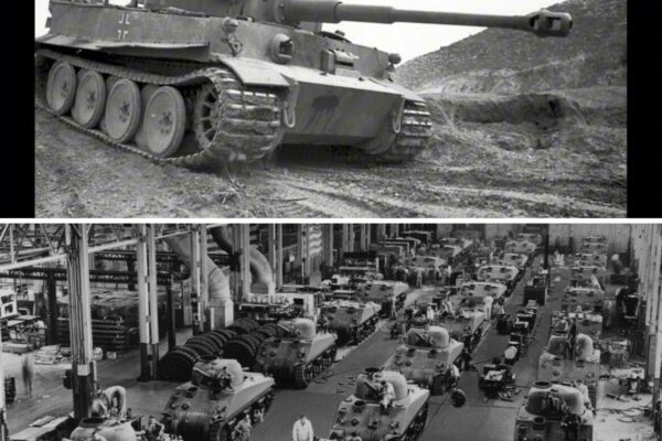Germany Built 1,347 Tiger Tanks – Then America Rolled Out 49,234 Shermans