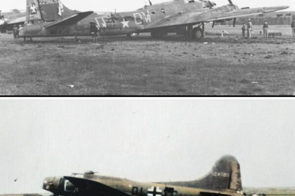 Luftwaffe Officers Flew A Captured B-17 Then Admitted They’d Never Seen Defensive Firepower Like It