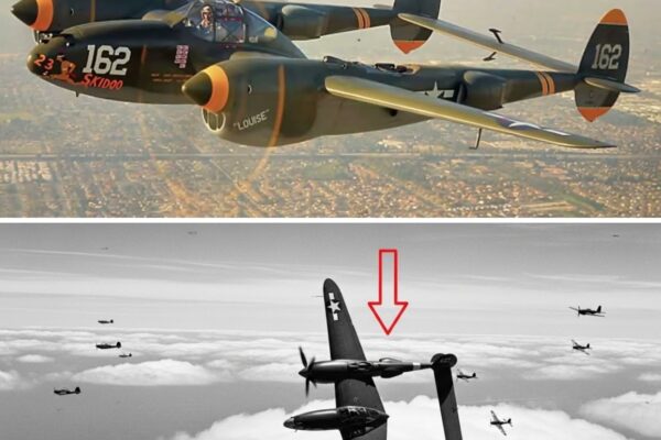 When 40 Zeros Ambushed His Squadron — This P-38 Pilot’s “Forbidden” Dive Destroyed 9 in 3 Minutes