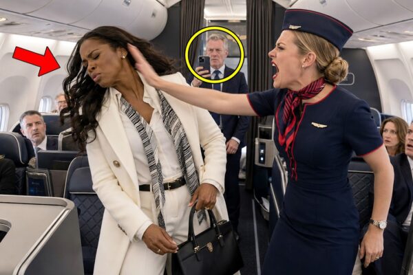 Flight Attendant Slaps Black CEO – Not Knowing She’s the Airline Owner