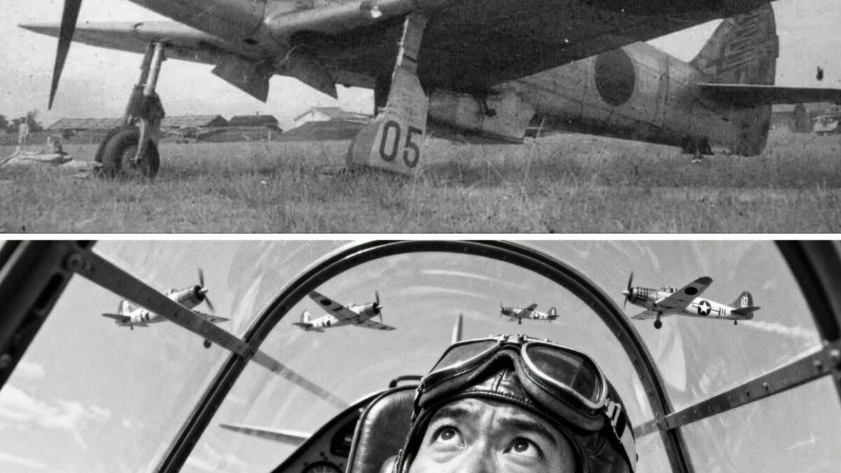 Japanese Forces Were Terrified by America’s P-51 Mustang Dominance Over Japan