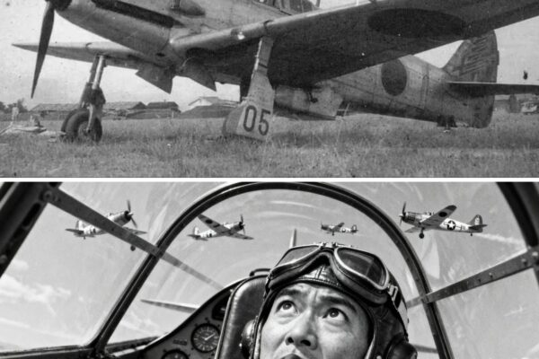 Japanese Forces Were Terrified by America’s P-51 Mustang Dominance Over Japan