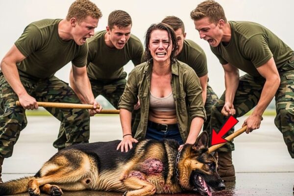 They Attacked the K9… Not Knowing It Was Protected by a Female Navy SEAL Commander