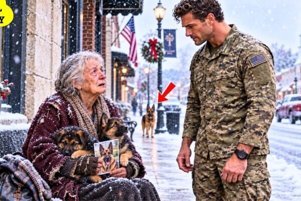 An Old Woman Asked a Navy SEAL to Bring Her German Shepherd Back — But the Dog Refused to Come Home
