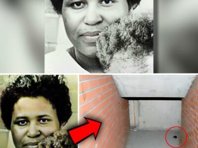 Cold Case SOLVED After 36 Years By Chewing Gum | Nova Welsh Case… | Mysterious Hook