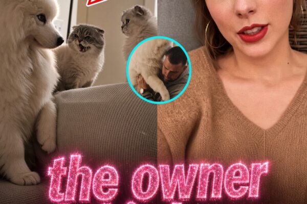 “Mansion Mayhem!” Taylor Swift Reacts After Wendy Gets Into Heated Feud With Olivia Benson