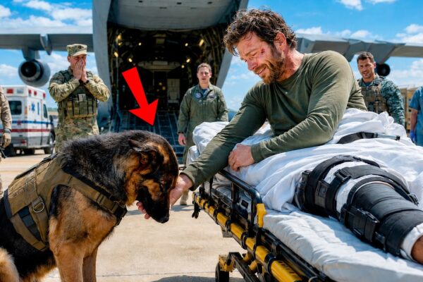The K9 Snarled at Every Officer—But Lowered His Head When the Missing SEAL Returned
