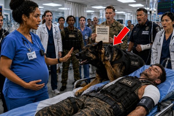Combat K9 Was To Be ‘Put Down’ — Until One Nurse Spoke the Words Nobody Understood
