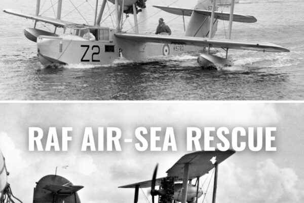 Britain’s Amphibious Biplane Rescued Downed Pilots From the Sea — While Fighting Off Enemy Aircraft