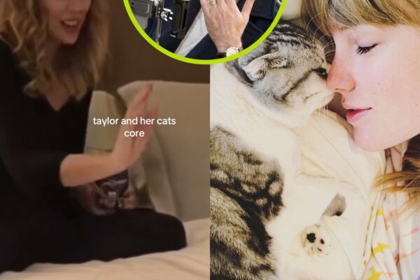 RARE HOME FOOTAGE SHOWS TRAVIS KELCE CAPTURING TAYLOR SWIFT UNWINDING WITH HER PETS! Did Kelce’s POV recording from inside their sanctuary melt fans’ hearts?