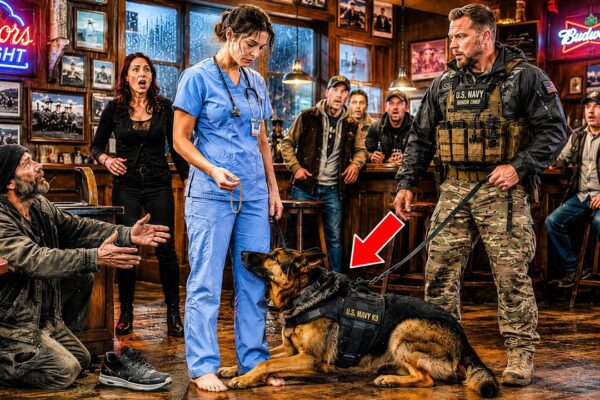 Don’t Touch Him” SEAL Warned– Then His K9 Ran To The Overlooked Nurse And Refused To Leave Her Side