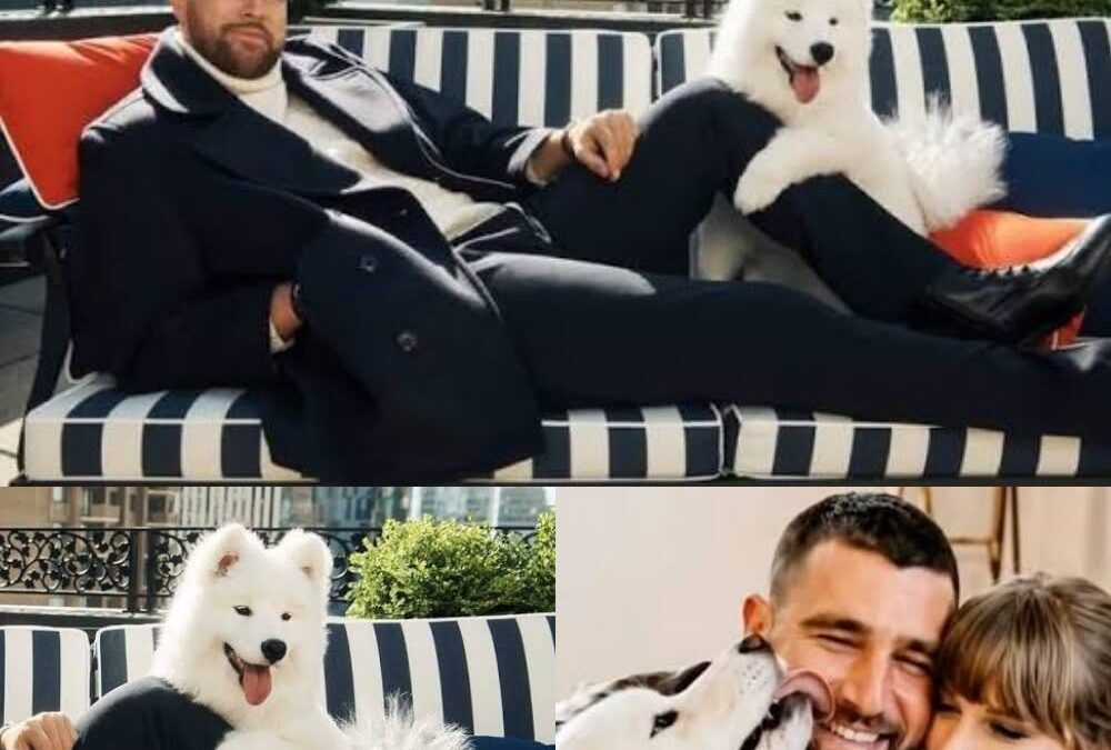 WENDY STEALS THE SPOTLIGHT ON HER FIRST WORKDAY WITH TRAVIS KELCE! Did Travis’s fluffy Samoyed crush her adorable modeling debut?