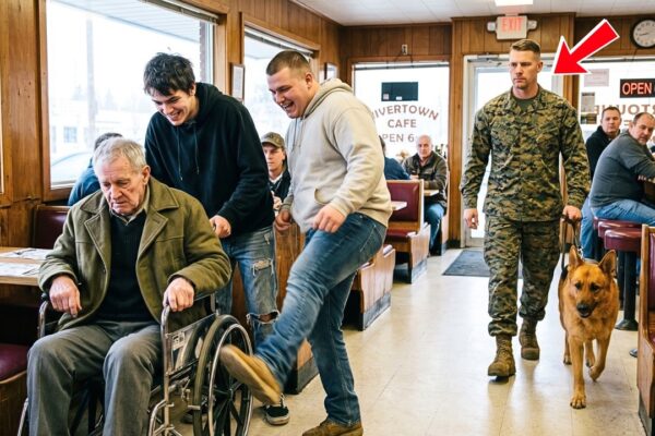 Bullies Humiliated a Wheelchair Veteran in a Diner — What the Marine Did Next Changed Everything 