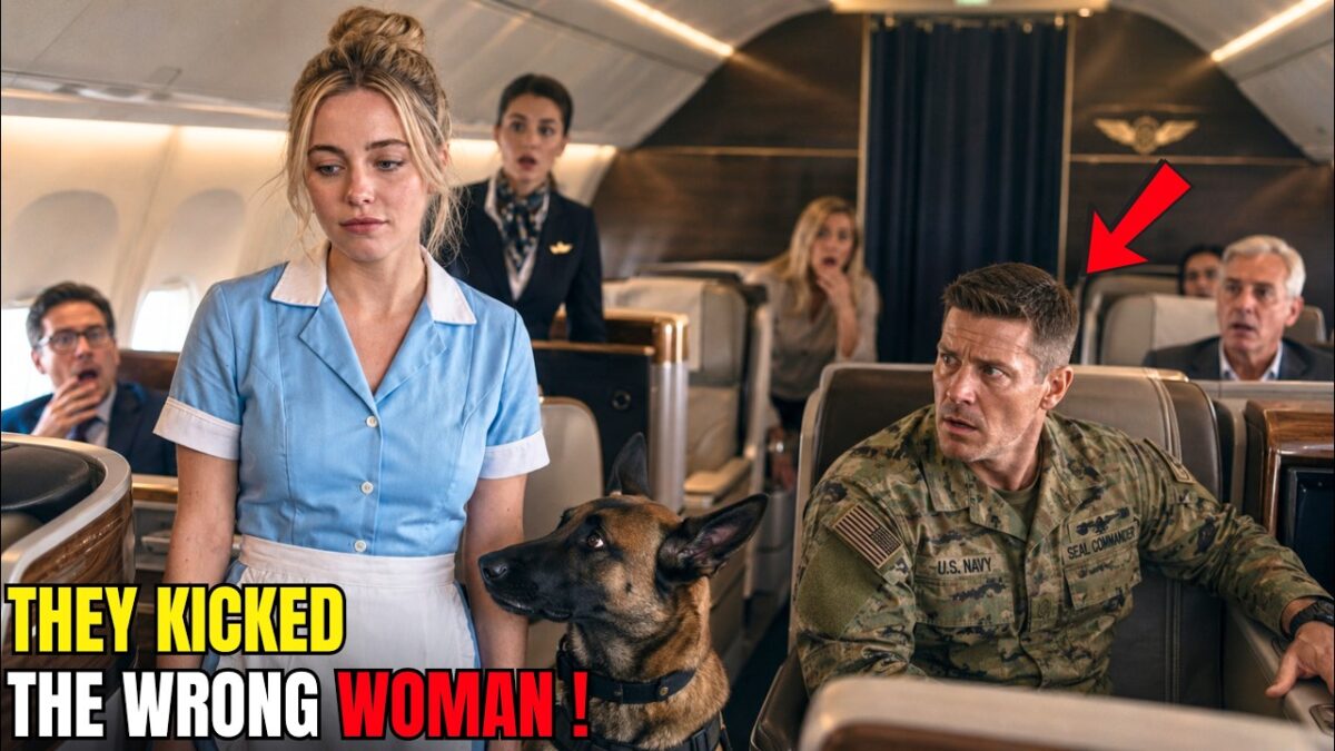 They Threw a Waitress and Her K9 Out of First Class — Until the SEAL Commander Stood Up 