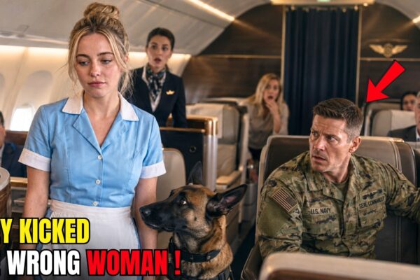They Threw a Waitress and Her K9 Out of First Class — Until the SEAL Commander Stood Up 