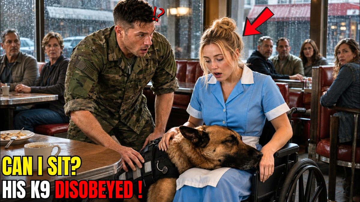 “Can I Sit Here?” Navy SEAL Asked a Disabled Waitress — Then His K9 Stopped the Whole Diner 