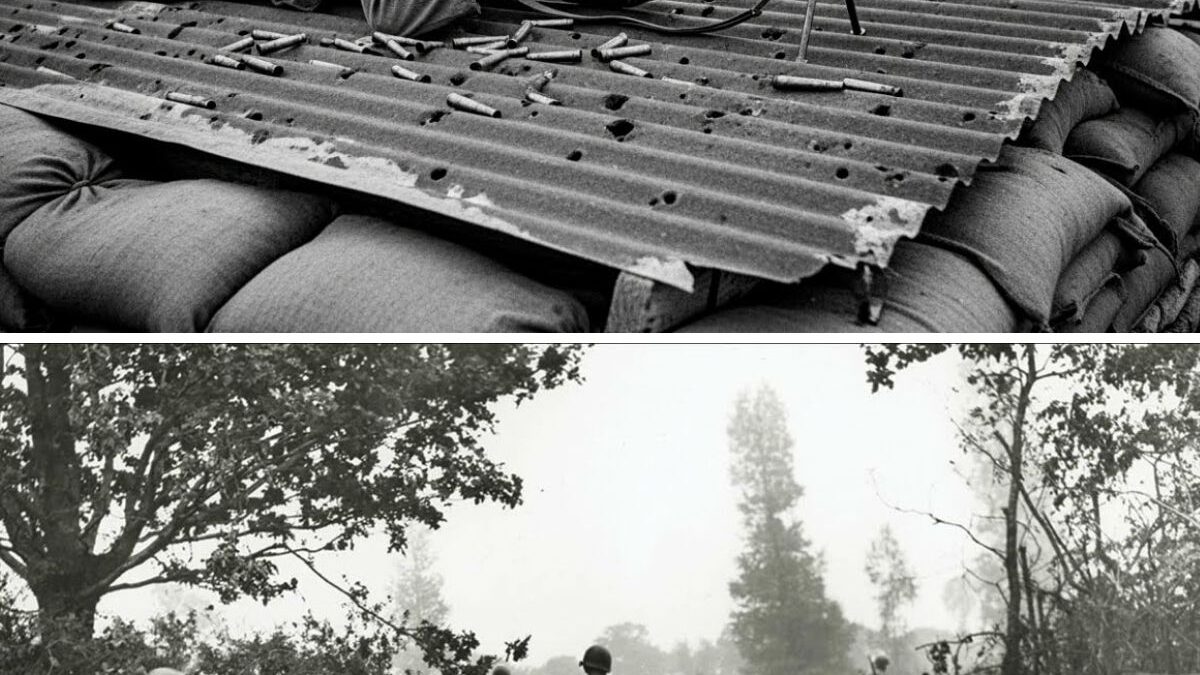 They Rejected His “Tin Roof” Sniper Angle — Until One Soldier Killed 19 Troops 