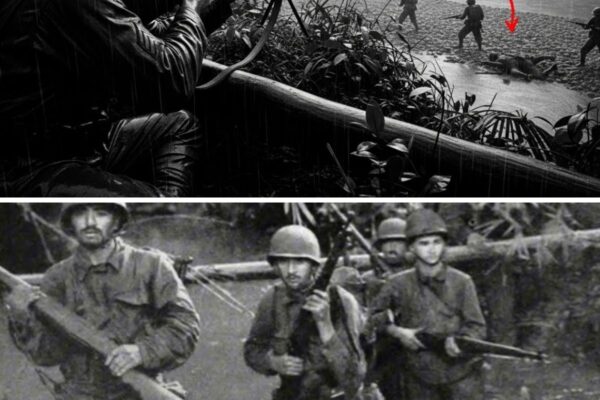 They Called it GRAVEYARD — Until His “Personal M1903 Setup” Killed 19 Troops in One Engagement 