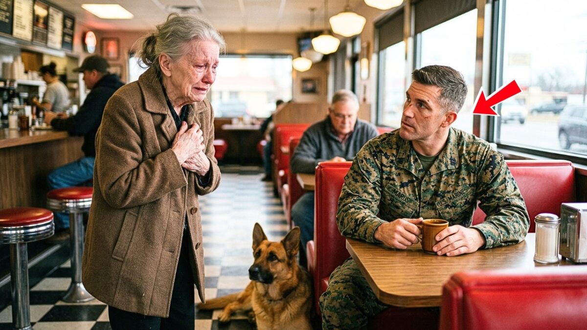 Elderly Woman Asked a U.S. Marine for Directions to the Police — He Went Back With Her 