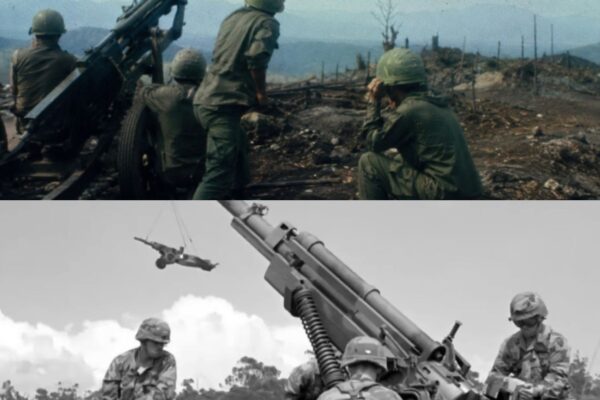 In 1966, The NVA Overran LZ Bird. Then The Secret Beehive Round Was Fired For The First Time.