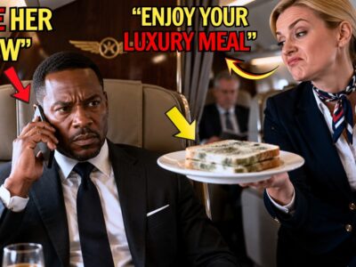 Black CEO Served Moldy Food —So He Fires The Racist Flight Attendant On Landing 