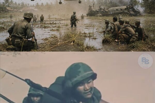 The 1962 Government Documentary That Promised America Was Winning In Vietnam 