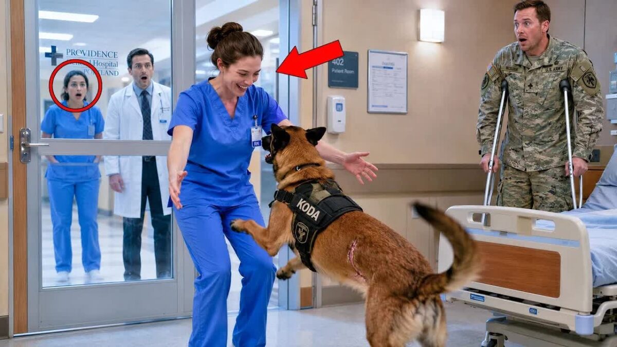 She Worked as a Quiet Nurse for 5 Years — Until a Military Dog Uncovered Her Secret Past