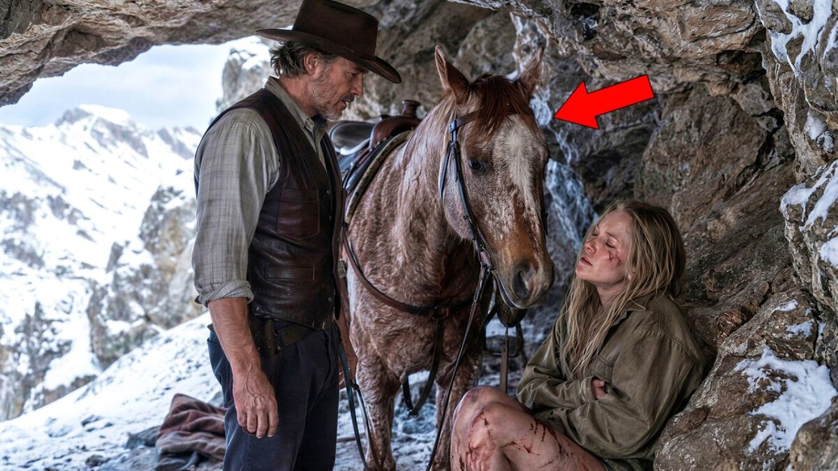A Cowboy Followed His Horse Into the Mountains—Then Discovered a Woman Everyone Thought Dead