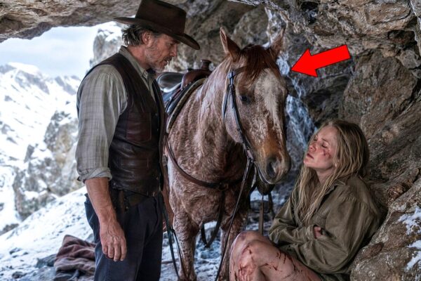 A Cowboy Followed His Horse Into the Mountains—Then Discovered a Woman Everyone Thought Dead
