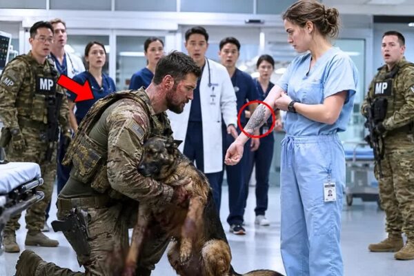 The SEAL Wouldn’t Let Anyone Touch His K9 — Until the Nurse Showed an Old Tattoo