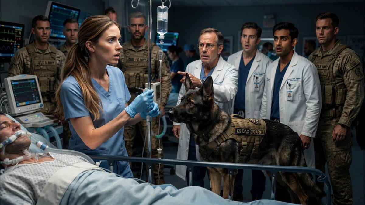 Nobody Knew the Quiet Nurse Was a Secret Military Medic — Until Her K9 Chose Her Over Every Doctor