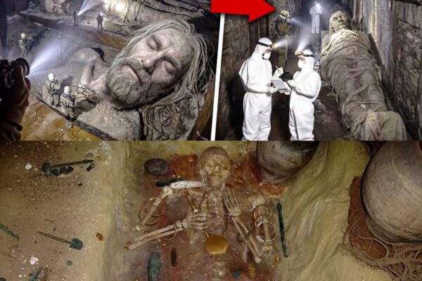 Archaeologists Found a Hidden Corridor In The Great Pyramid — What’s Inside Shocks The Entire World 